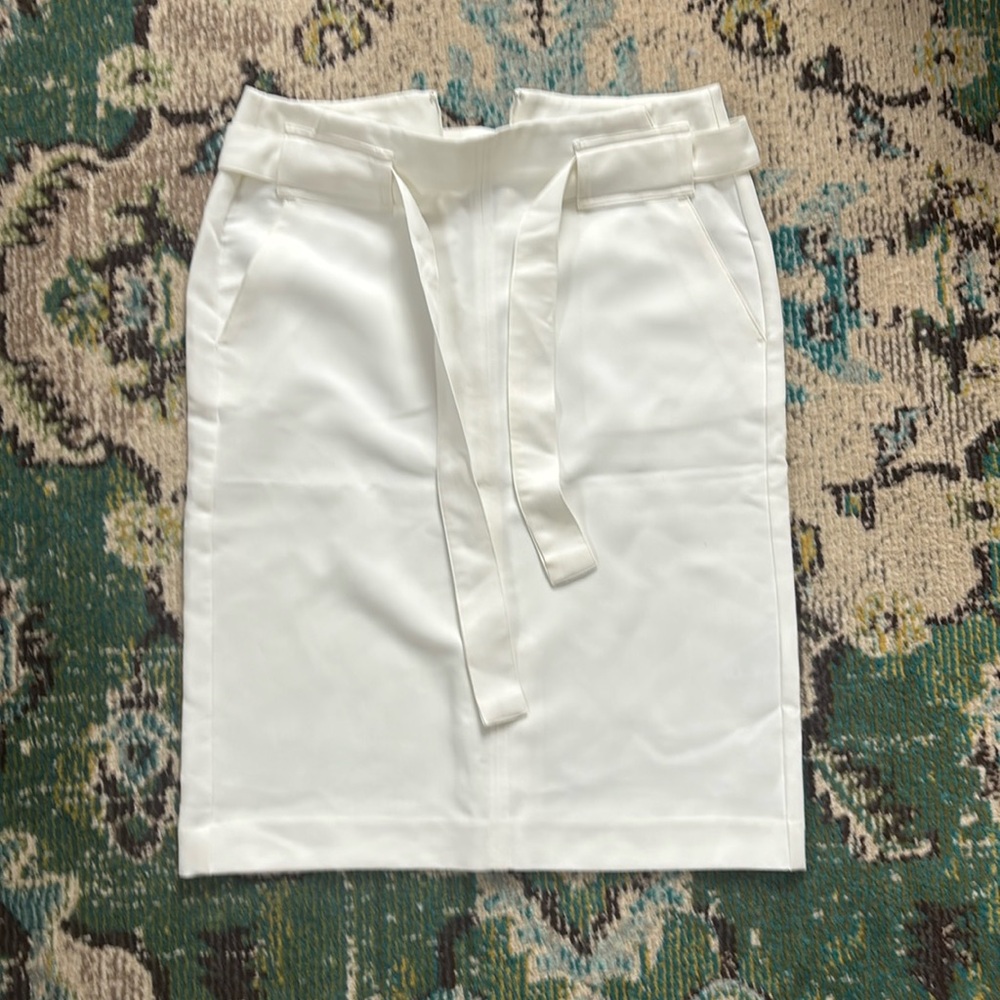 Banana Republic Skirt